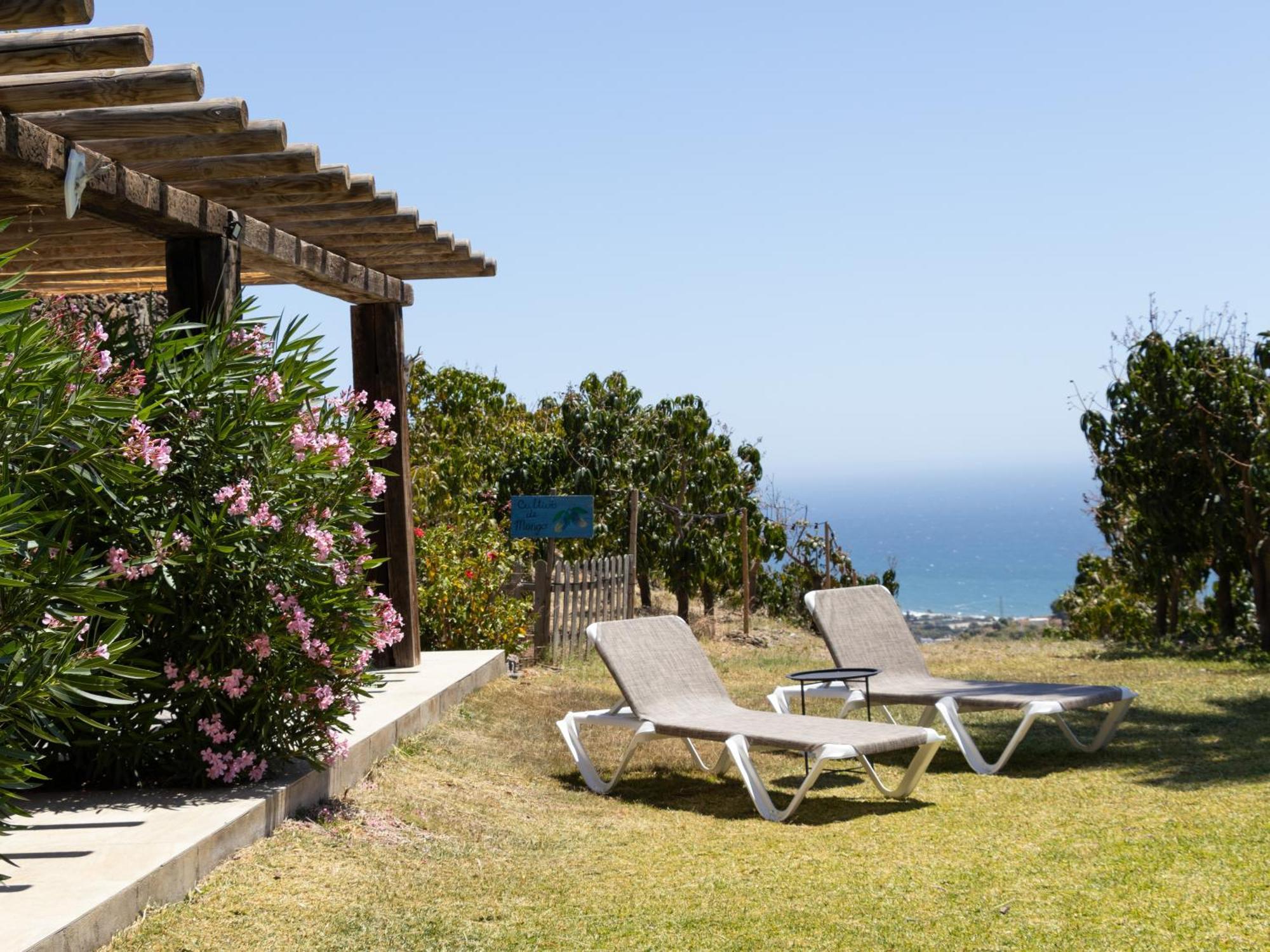 La Casa Del Burro Bed & Breakfast Nerja Exterior photo